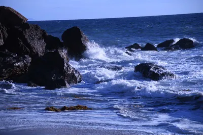 DSC_0562 (Large).JPG